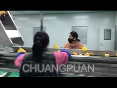 ¿Cómo se produce el jugo de fruta en la fábrica?Vamos a ver cómo funciona la línea de procesamiento de jugo de pera