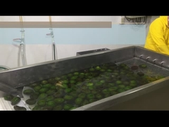 ¿Cómo procesar la pulpa de aguacate HPP o fría?