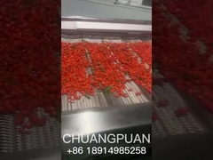 ¿Sabes cómo se produce el jugo de espino de mar?