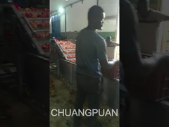 Vamos a ver una línea de producción de pasta de tomate de tipo medio en África trabajando.